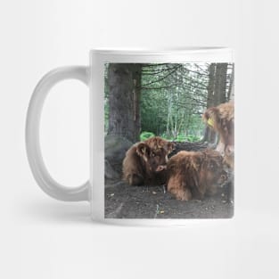 Scottish Highland Cattle Calves 1519 Mug